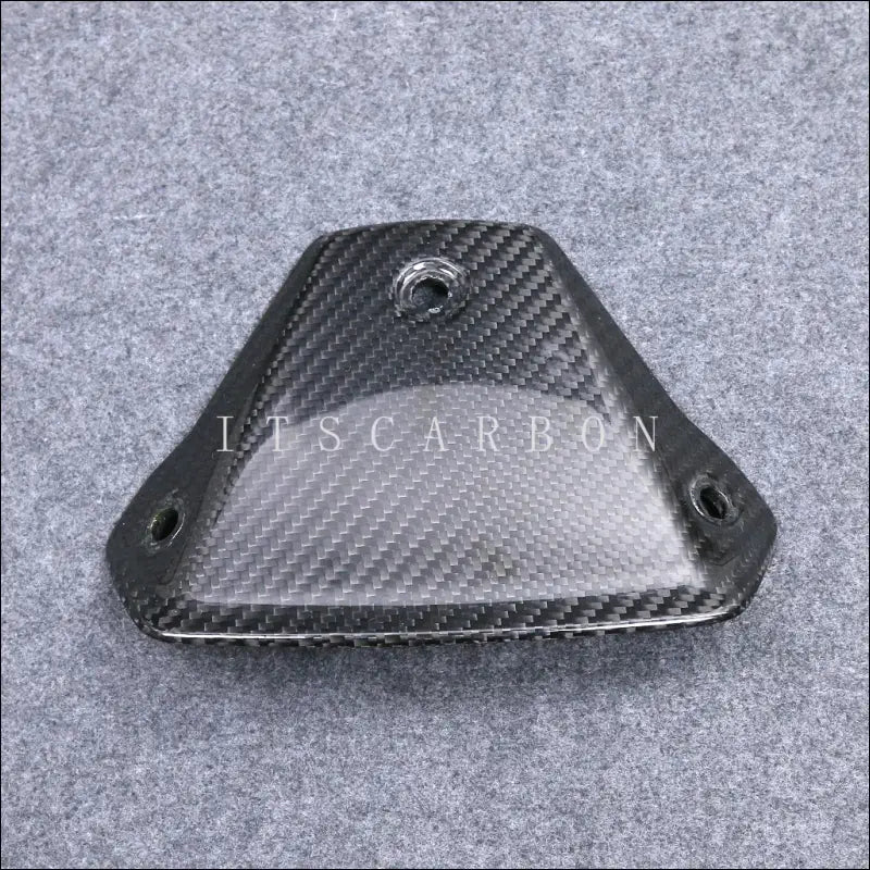 BMW S1000R M1000R Carbon Windschildhalterung