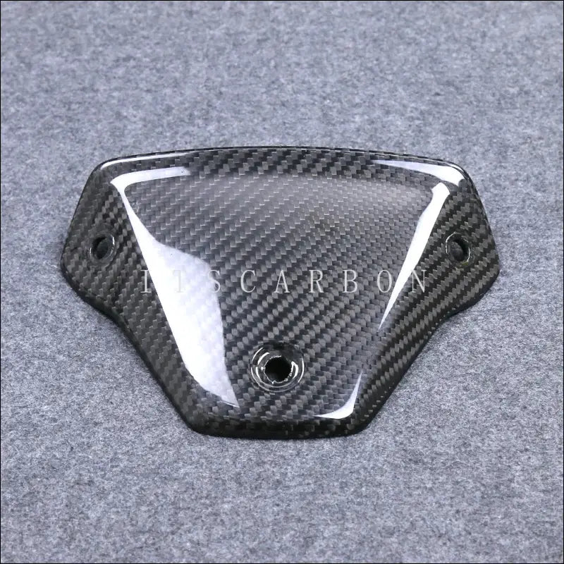 BMW S1000R M1000R Carbon Windschildhalterung