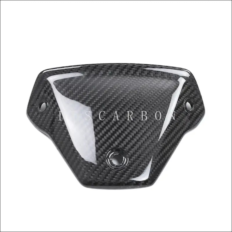 BMW S1000R M1000R Carbon Windschildhalterung