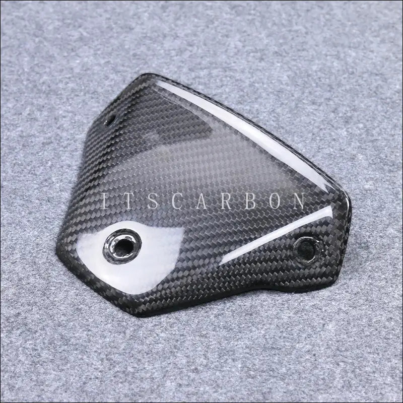 BMW S1000R M1000R Carbon Windschildhalterung