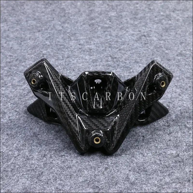 BMW S1000R M1000R Carbon Windschildhalterung