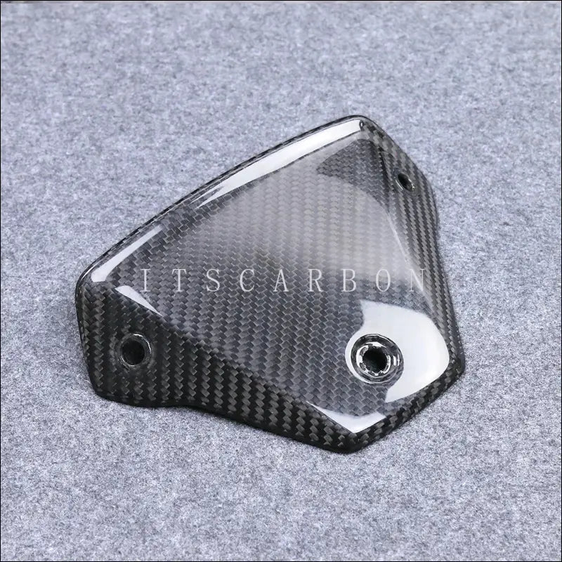 BMW S1000R M1000R Carbon Windschildhalterung