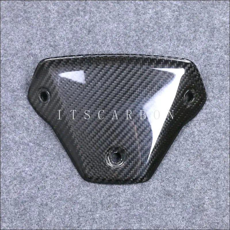 BMW S1000R M1000R Carbon Windschildhalterung