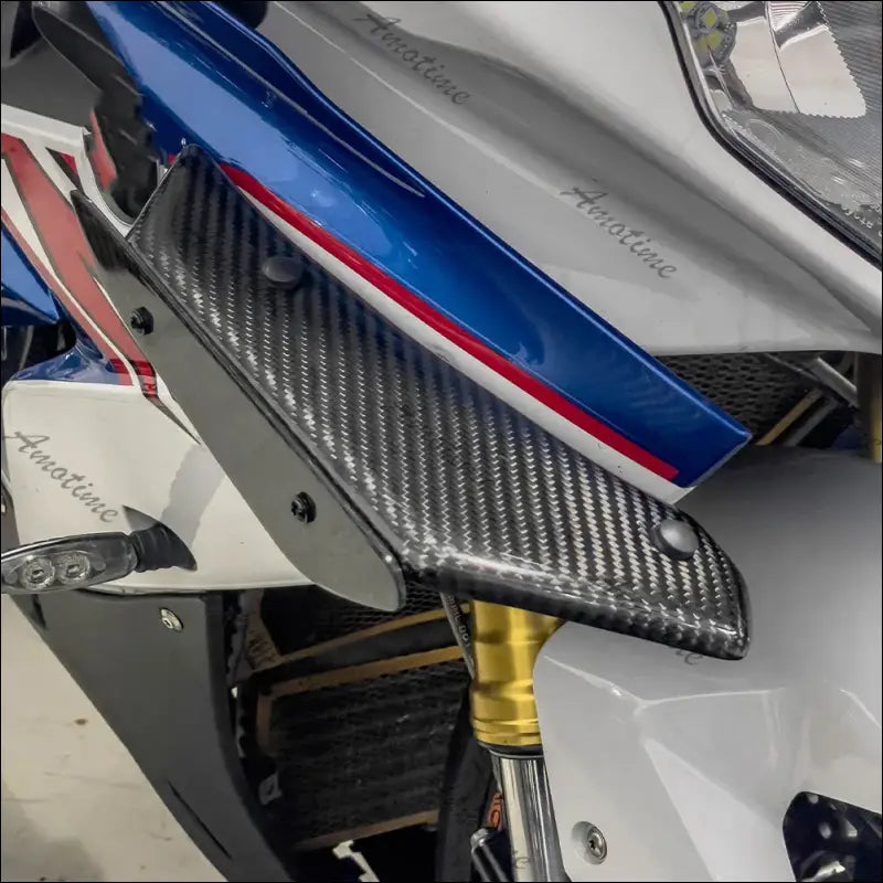 BMW S1000RR 2010-2018 Winglet Carbon / ABS Carbon Optik