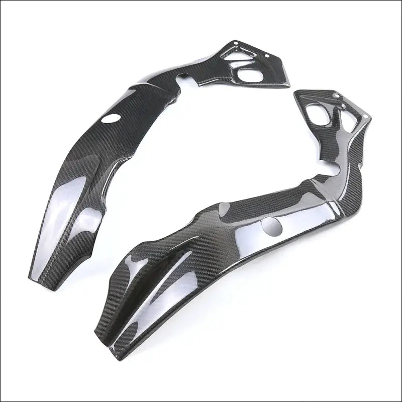 BMW S1000RR 2015-2018 Carbon Rahmenabdeckung