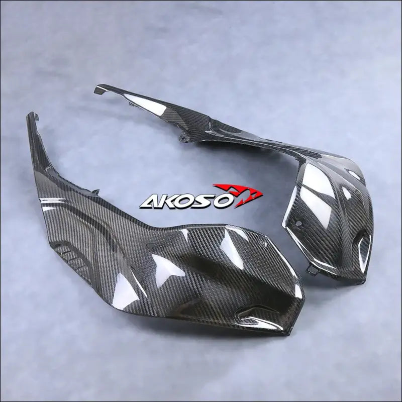 BMW S1000RR 2019-2024 Carbon Tank Seitenverkleidung