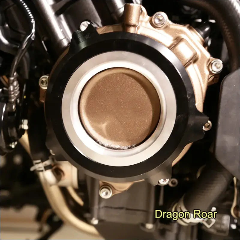 Honda CB650R CBR650R 2019-2020 Seitenschutz
