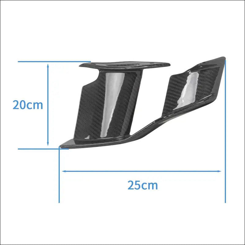 BMW S1000R M1000R Carbon Winglets Sportliches Design