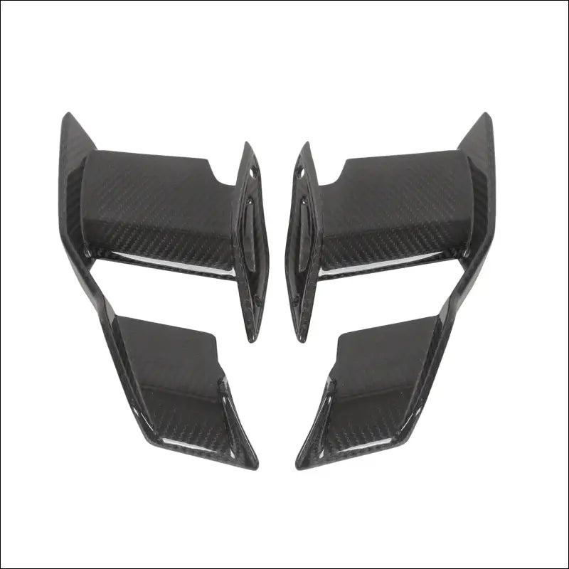 BMW S1000R M1000R Carbon Winglets Sportliches Design