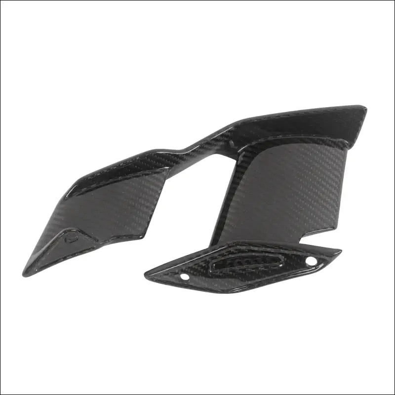 BMW S1000R M1000R Carbon Winglets Sportliches Design