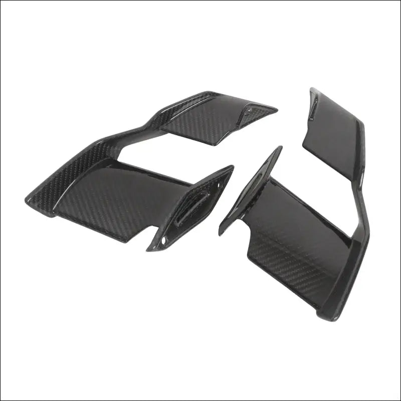 BMW S1000R M1000R Carbon Winglets Sportliches Design - Gloss