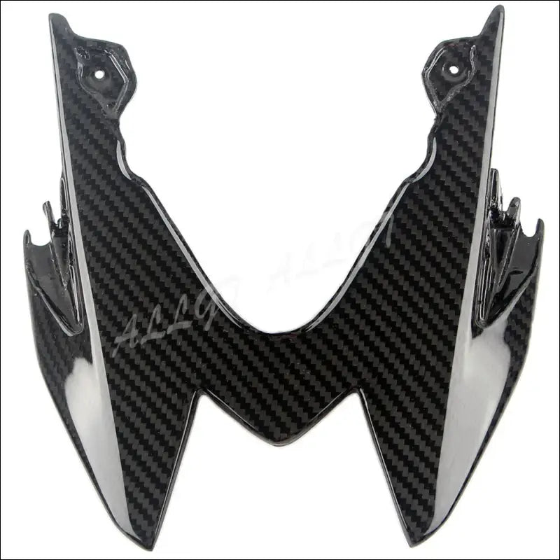 BMW S1000RR 2015-2018 Carbon Heckverkleidung