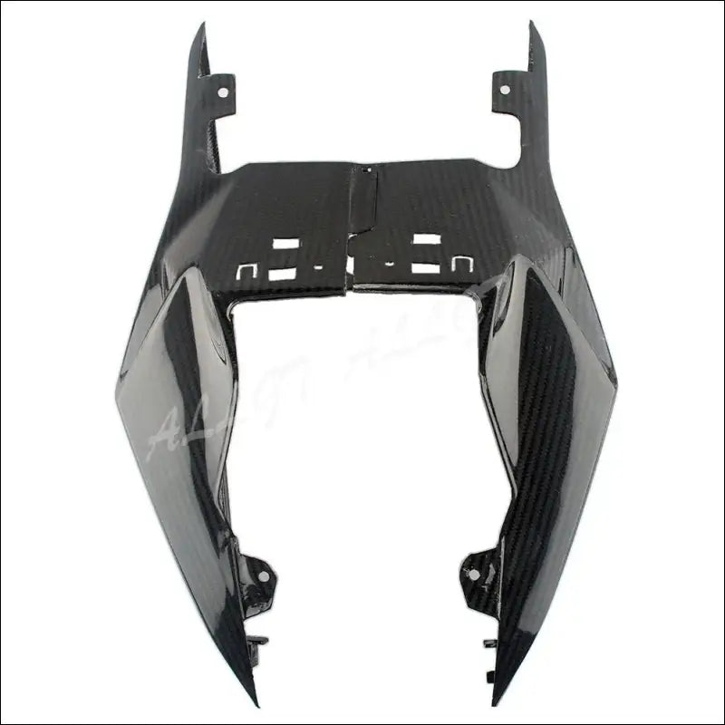BMW S1000RR 2015-2018 Carbon Heckverkleidung - AS picture Show 1