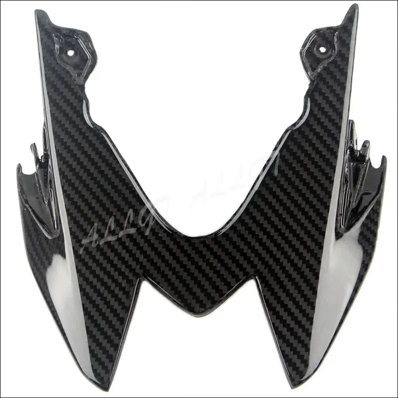 BMW S1000RR 2015-2018 Carbon Heckverkleidung - AS picture Show 2