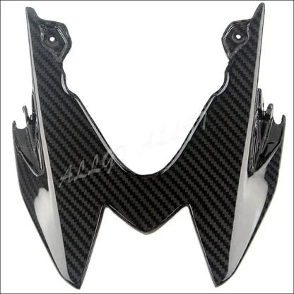 BMW S1000RR 2015-2018 Carbon Heckverkleidung - AS picture Show 2