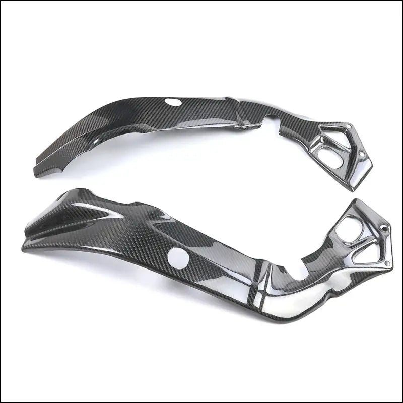 BMW S1000RR 2015-2018 Carbon Rahmenabdeckung