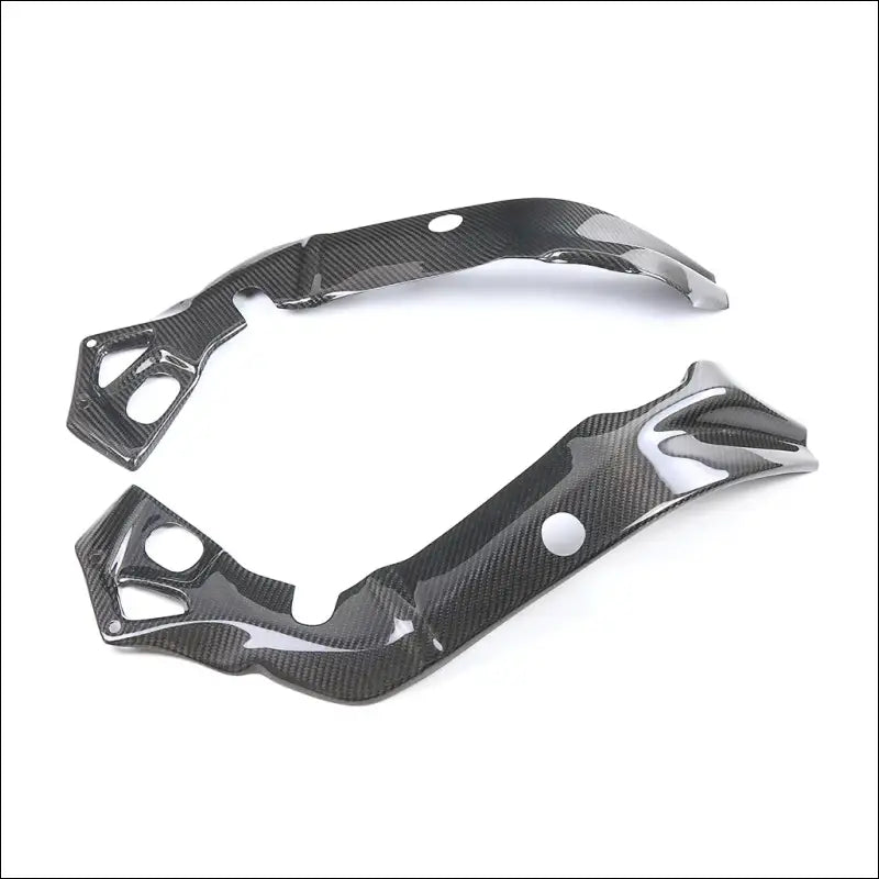 BMW S1000RR 2015-2018 Carbon Rahmenabdeckung