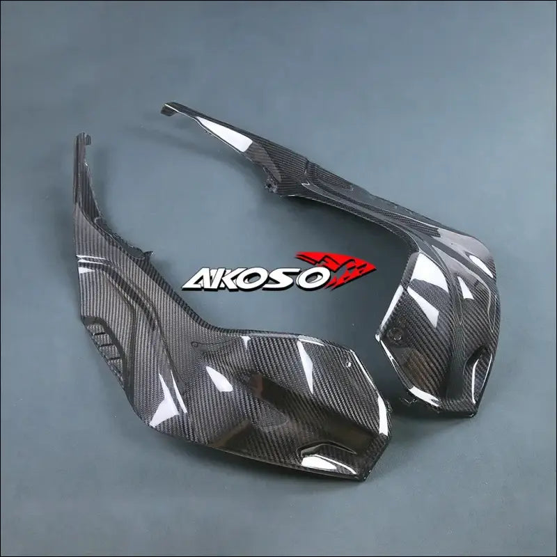 BMW S1000RR 2019-2024 Carbon Tank Seitenverkleidung