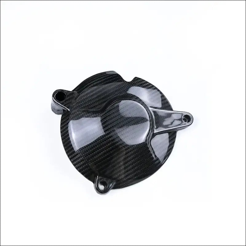 BMW S1000RR S1000R Carbon Motorschutz - Twill Glossy