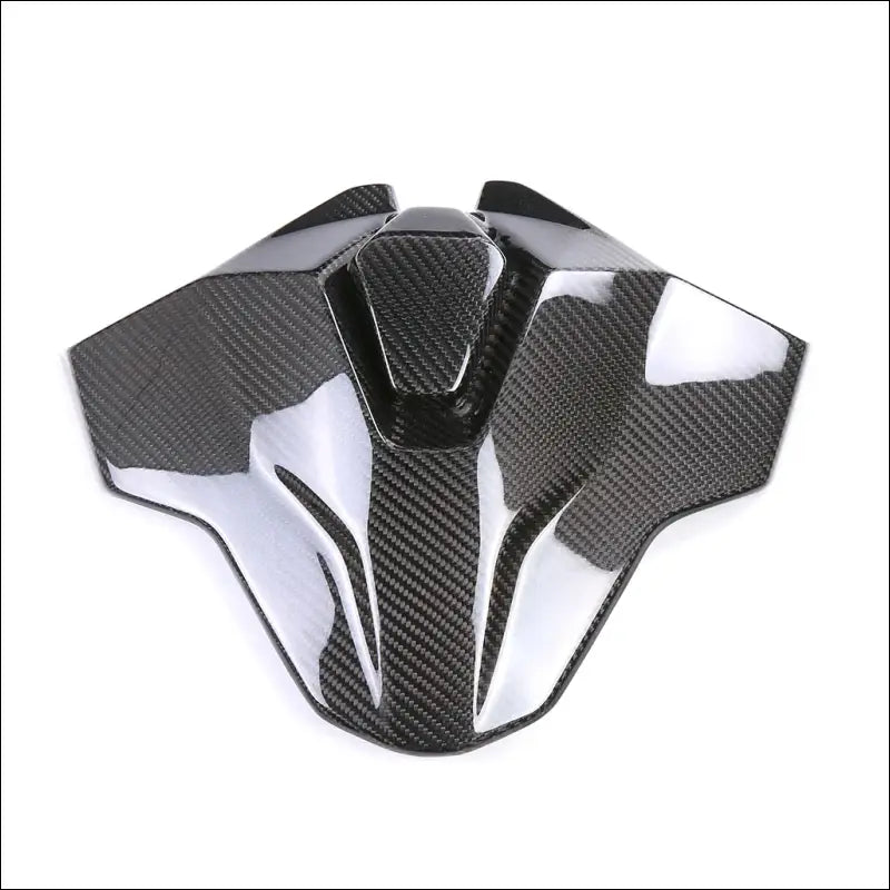Carbon Teile für BMW S1000RR (2023–2024) - Tailstock hump
